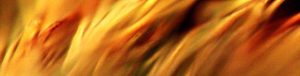 The Living Presence of the Holy Spirit