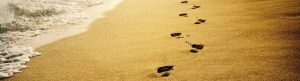 Walk in Jesus