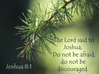 Do not be afraid do not be discouraged