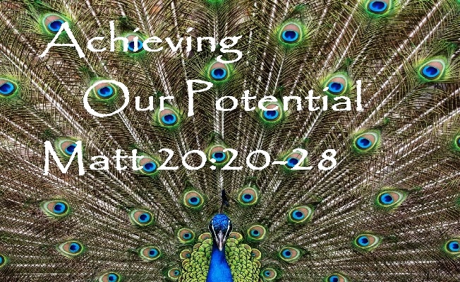 Achieving your Potential