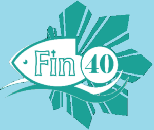 FIN Anniversary