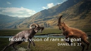 Puzzling vision of ram and goat