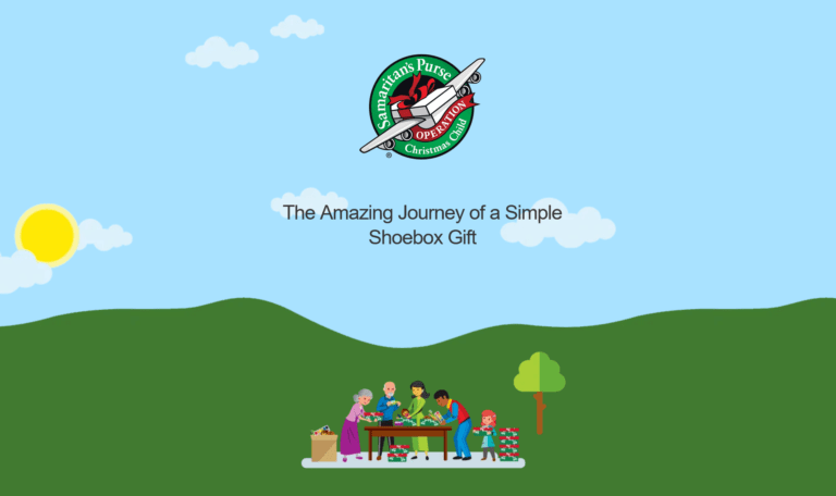 The Amazing Journey of a Simple Shoebox